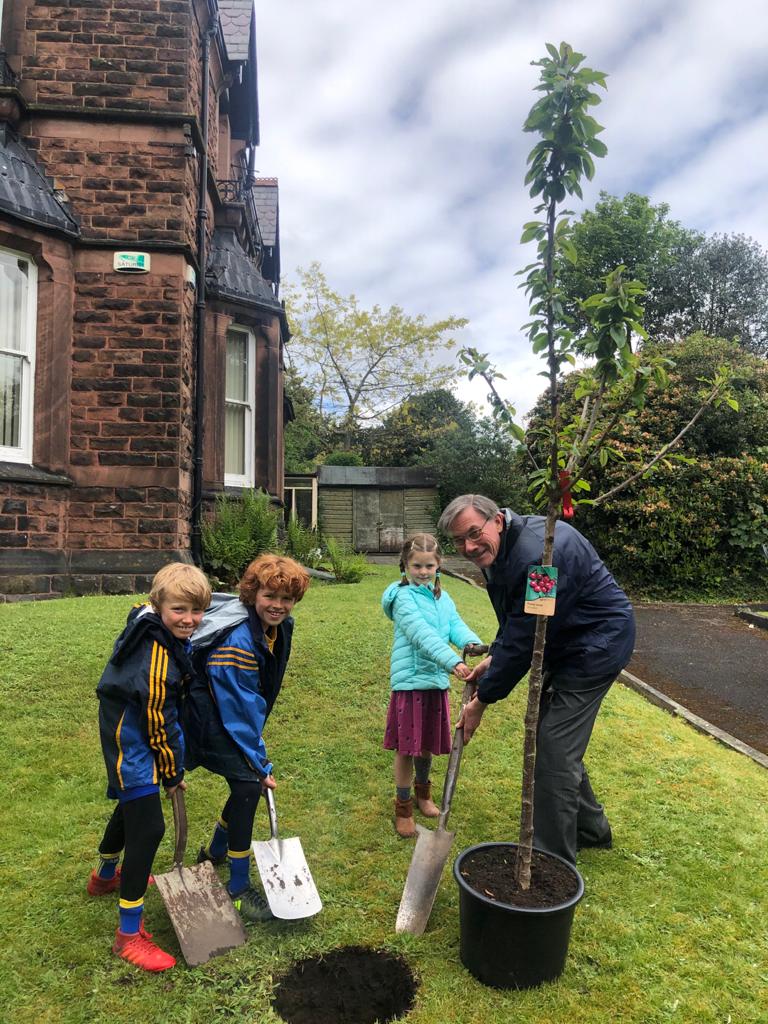 Fr Tim with help plants a tree