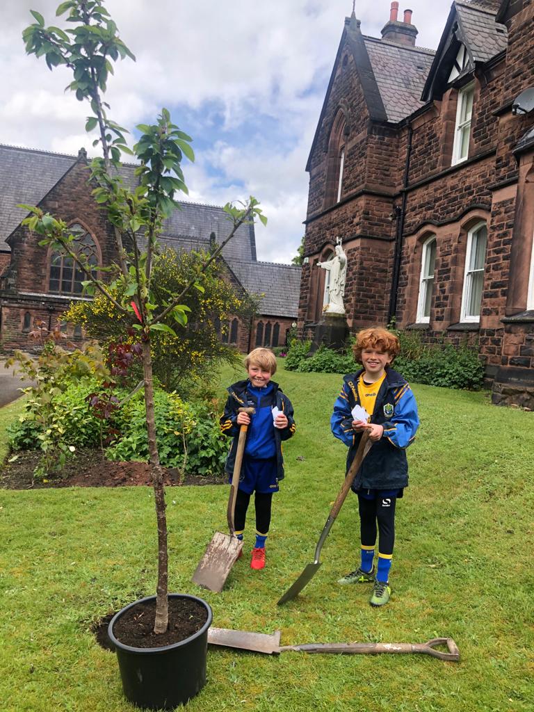 Tree planters