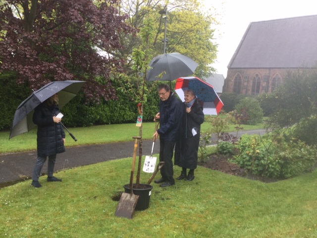 Planting the tree