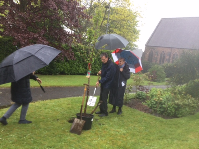 Planting the tree