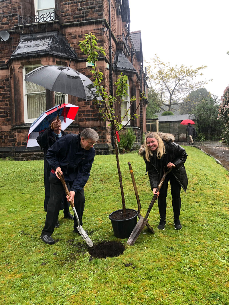 Planting the tree