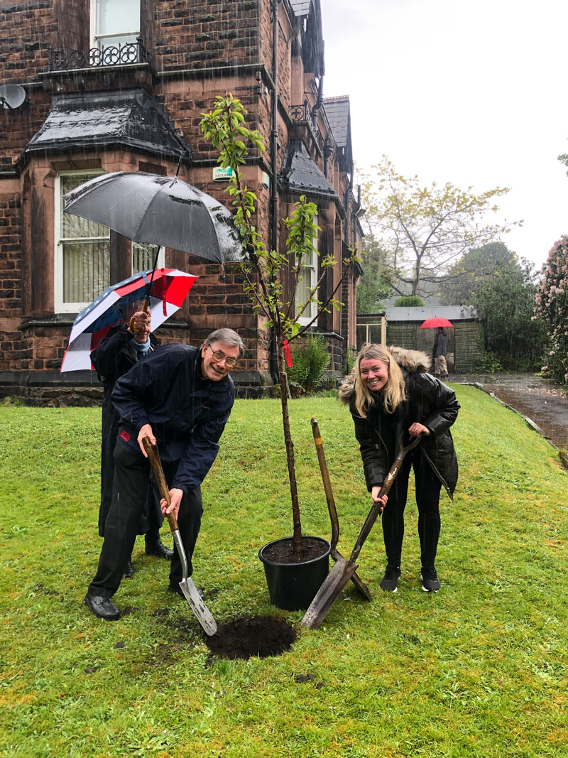 Planting the tree