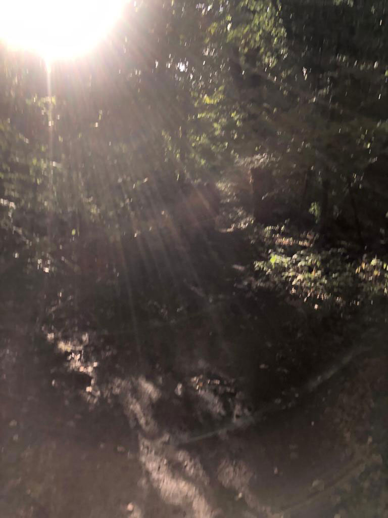 creationwalk9