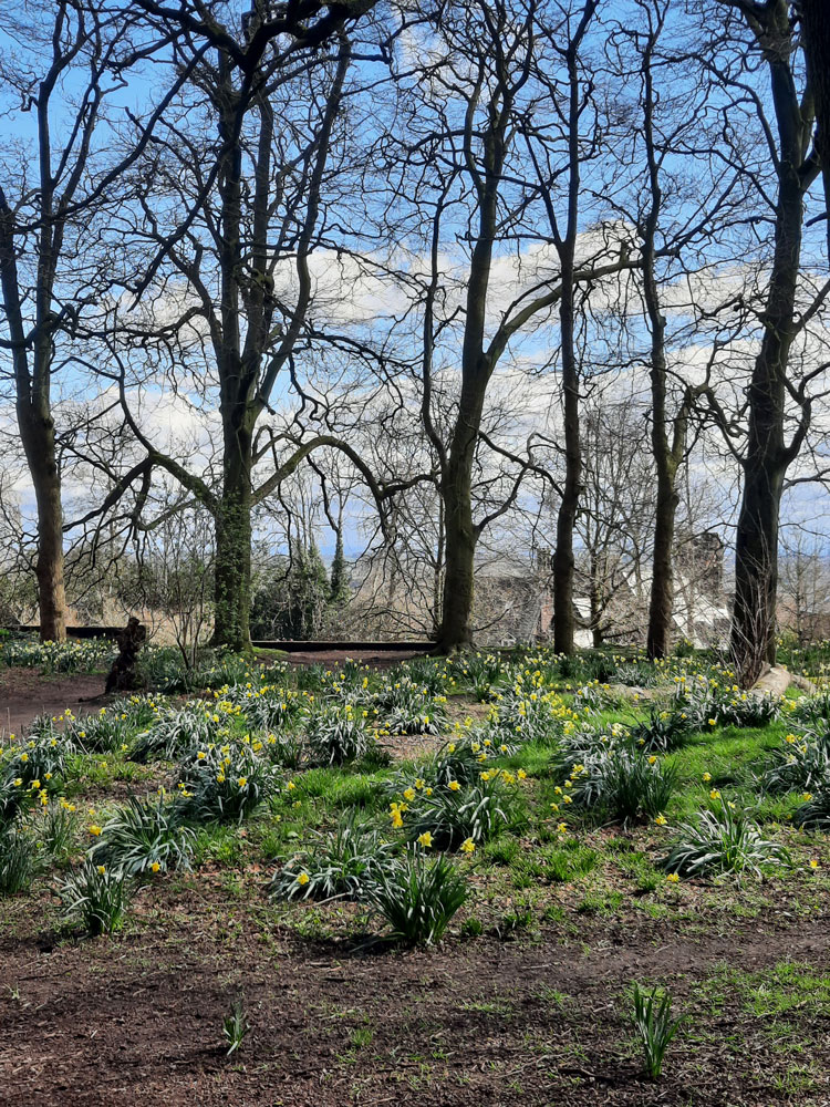 Springcreationwalk 2