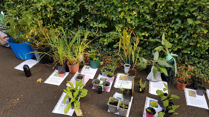 Plantswap
