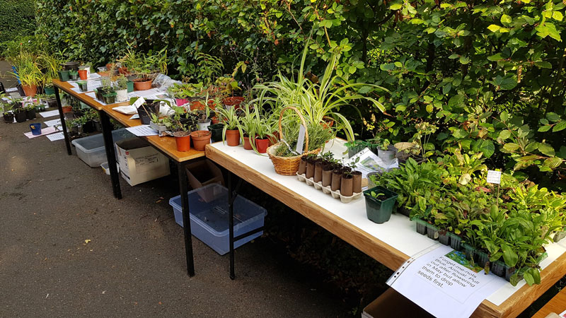 Plantswap